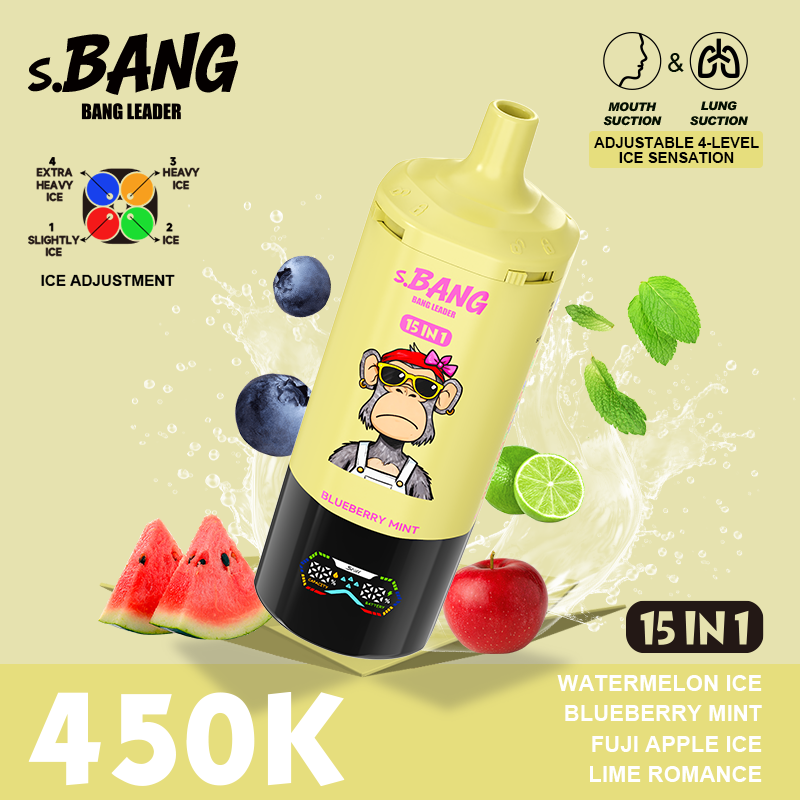 Bang Leader 450K Puffs 15 in 1