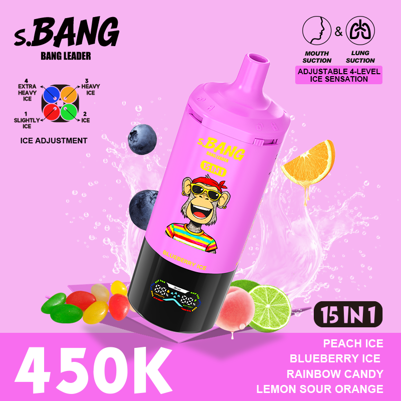 Bang Leader 450K Puffs 15 in 1