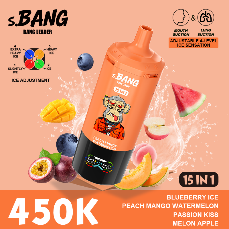 Bang Leader 450K Puffs 15 in 1