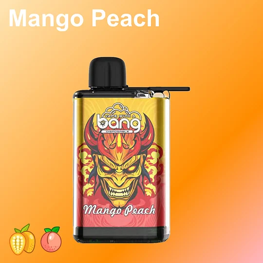 Bang 28000 Ice Disposable Vape | 28K Puffs Vape - CloudovaVape