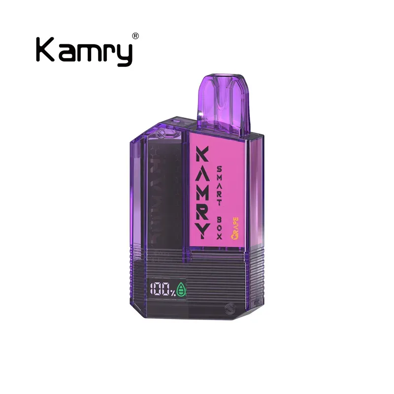 Kamry Smart Box 600 Puffs Disposable Vape Wholesale | 500mAh Rechargeable Battery, 2ml Nic Salt Pod, 1.2Ω Mesh Coil | CloudovaVape
