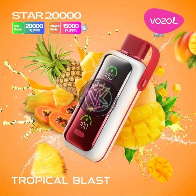 Vozol Star 20000 Puffs Disposable Vape | Dual Mesh Coil | Rechargeable Vape with Mirror Screen & Dual Mode | Wholesale - CloudovaVape
