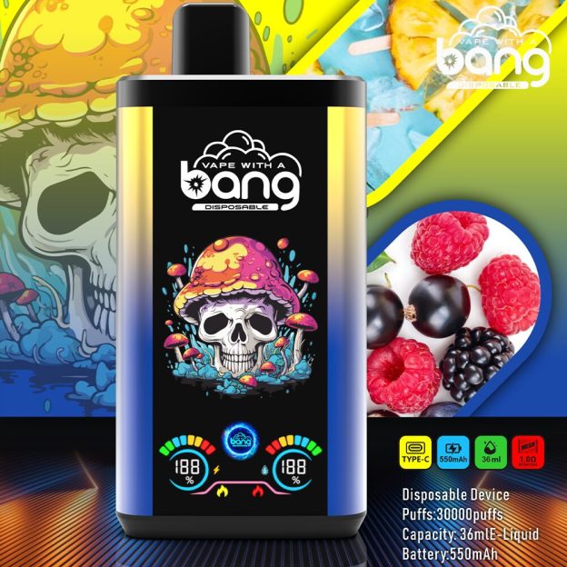 Bang 30K Pro Disposable Vape – 30,000 Puffs with Dual-Flavor Switching