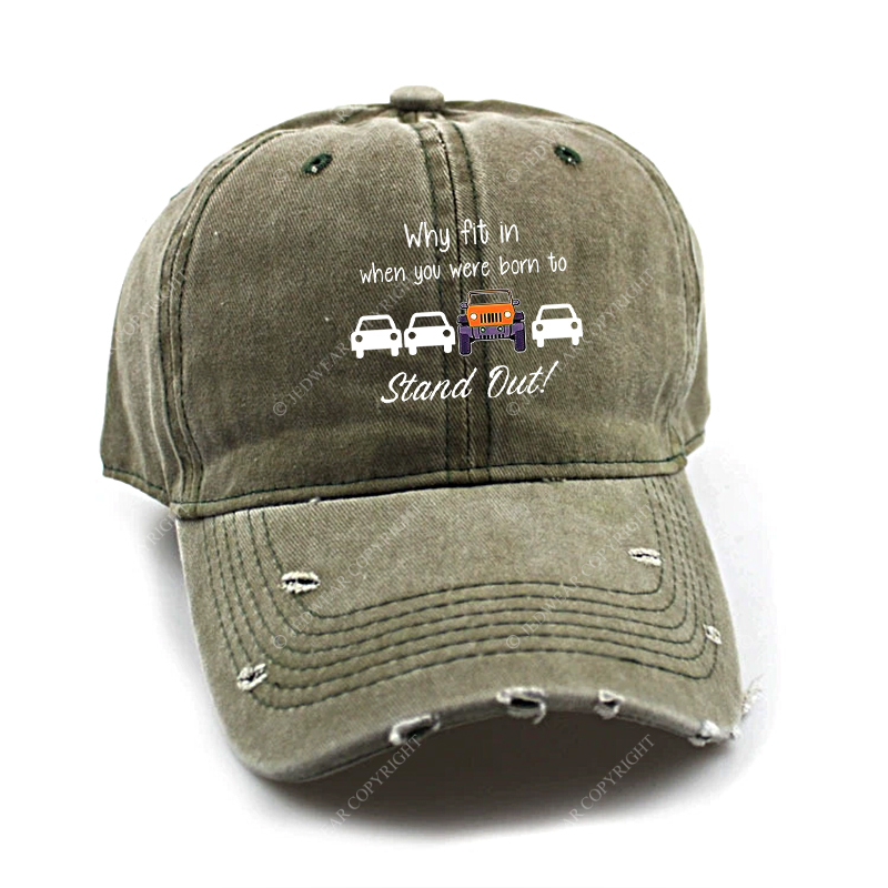 Why Fit In When You Were Born To Stand Out Jp Baseball Cap
