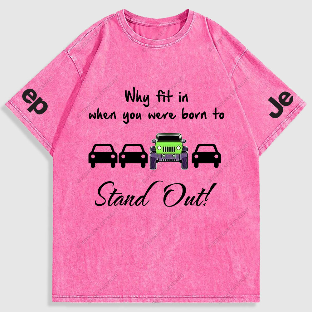 Why Fit In When You Were Born To Stand Out Washed T-Shirt