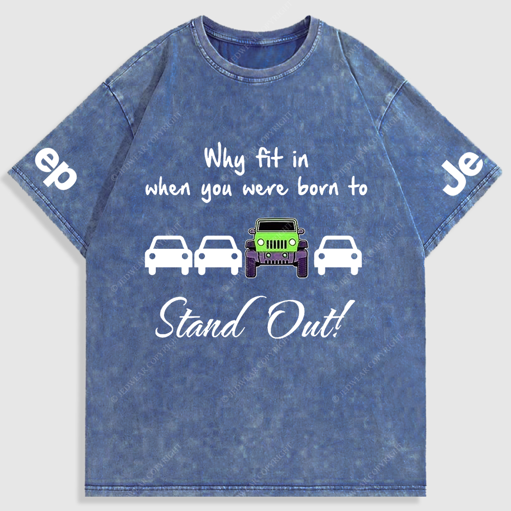 Why Fit In When You Were Born To Stand Out Washed T-Shirt