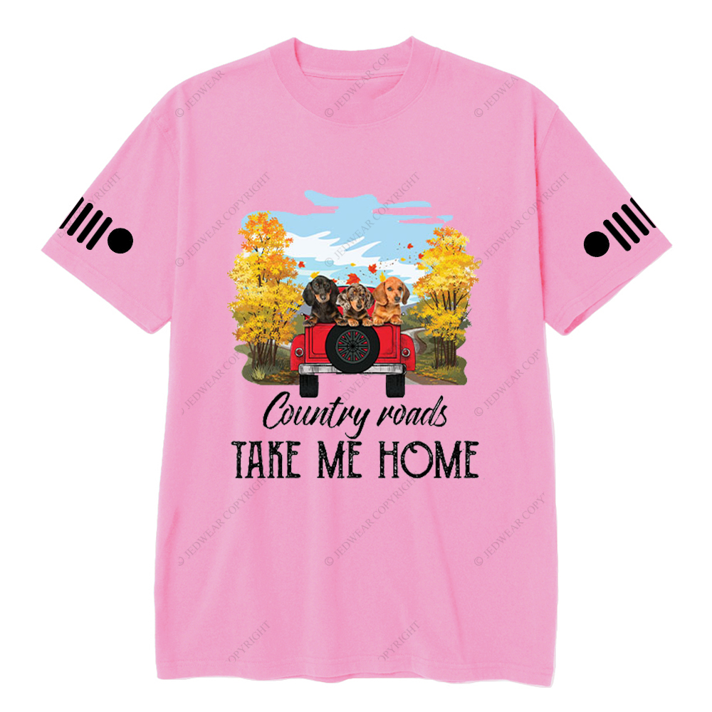 Car Dachshunds Country Roads Take Me Home Jp T-Shirt