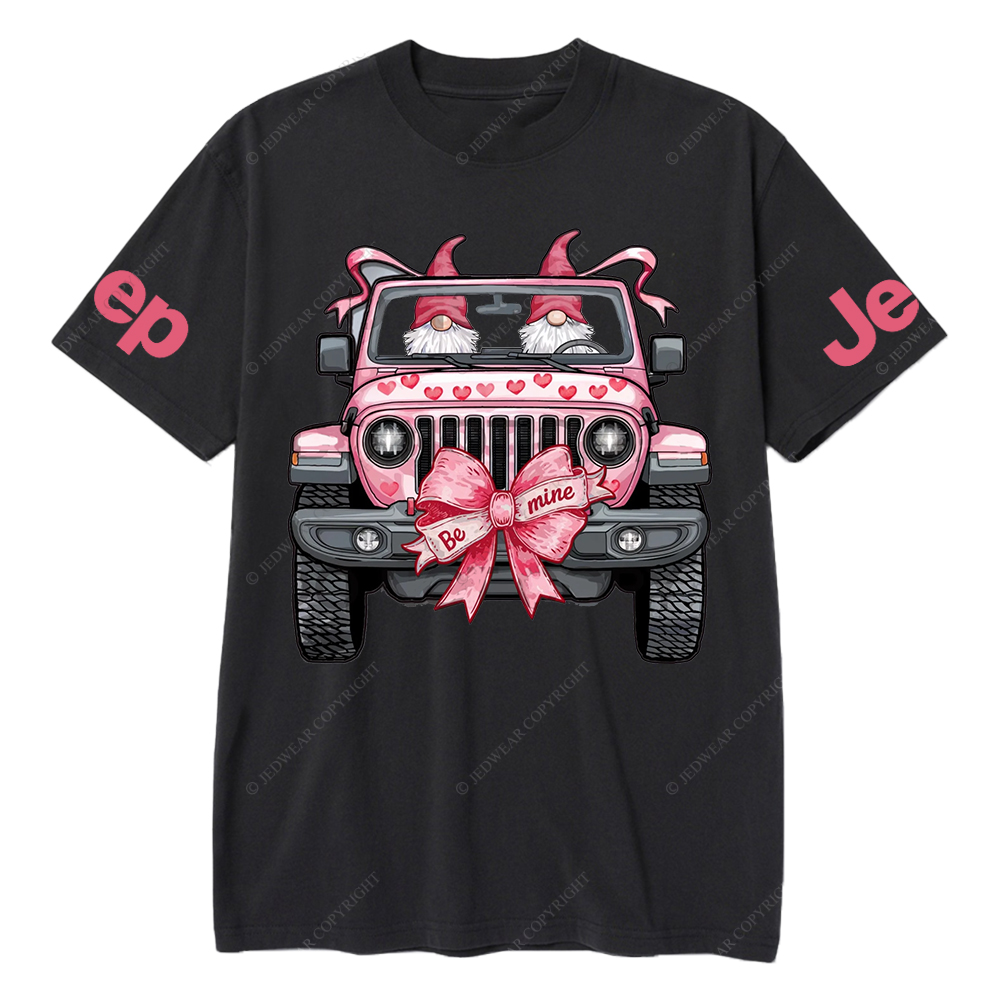 Valentine Gnomes Pink Car Jp T-Shirt