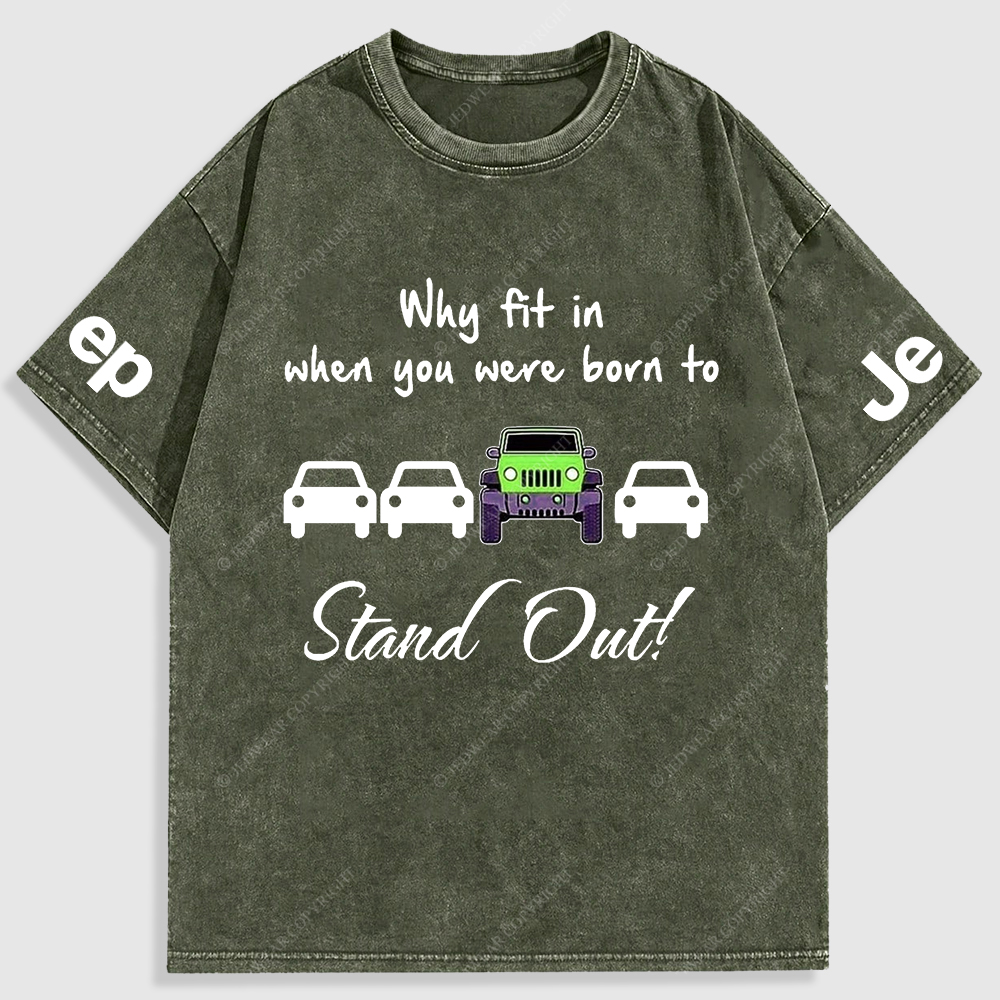 Why Fit In When You Were Born To Stand Out Washed T-Shirt