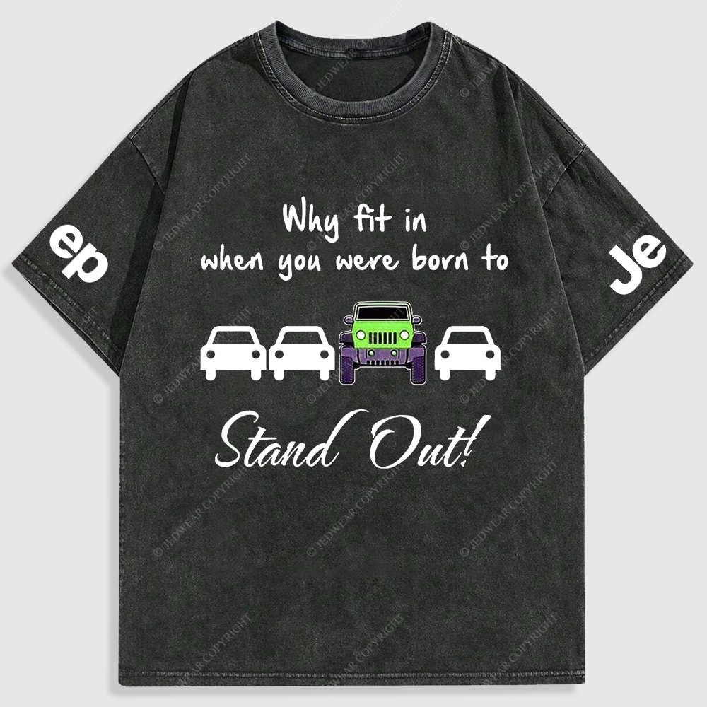 Why Fit In When You Were Born To Stand Out Washed T-Shirt
