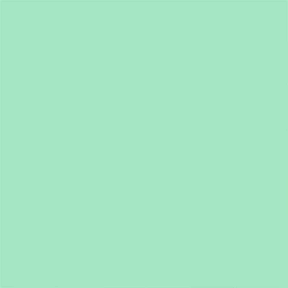 Jacquard Room Darkening Curtains in Minty Mint Set Of 2 - (P256)