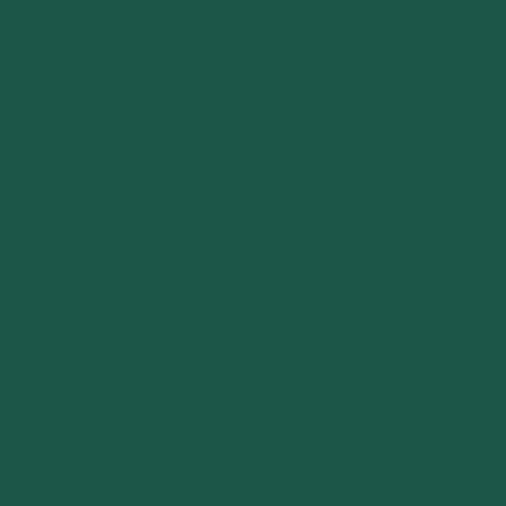 Jacquard Room Darkening Curtains in Brunswick Green Set Of 2 - (P300)