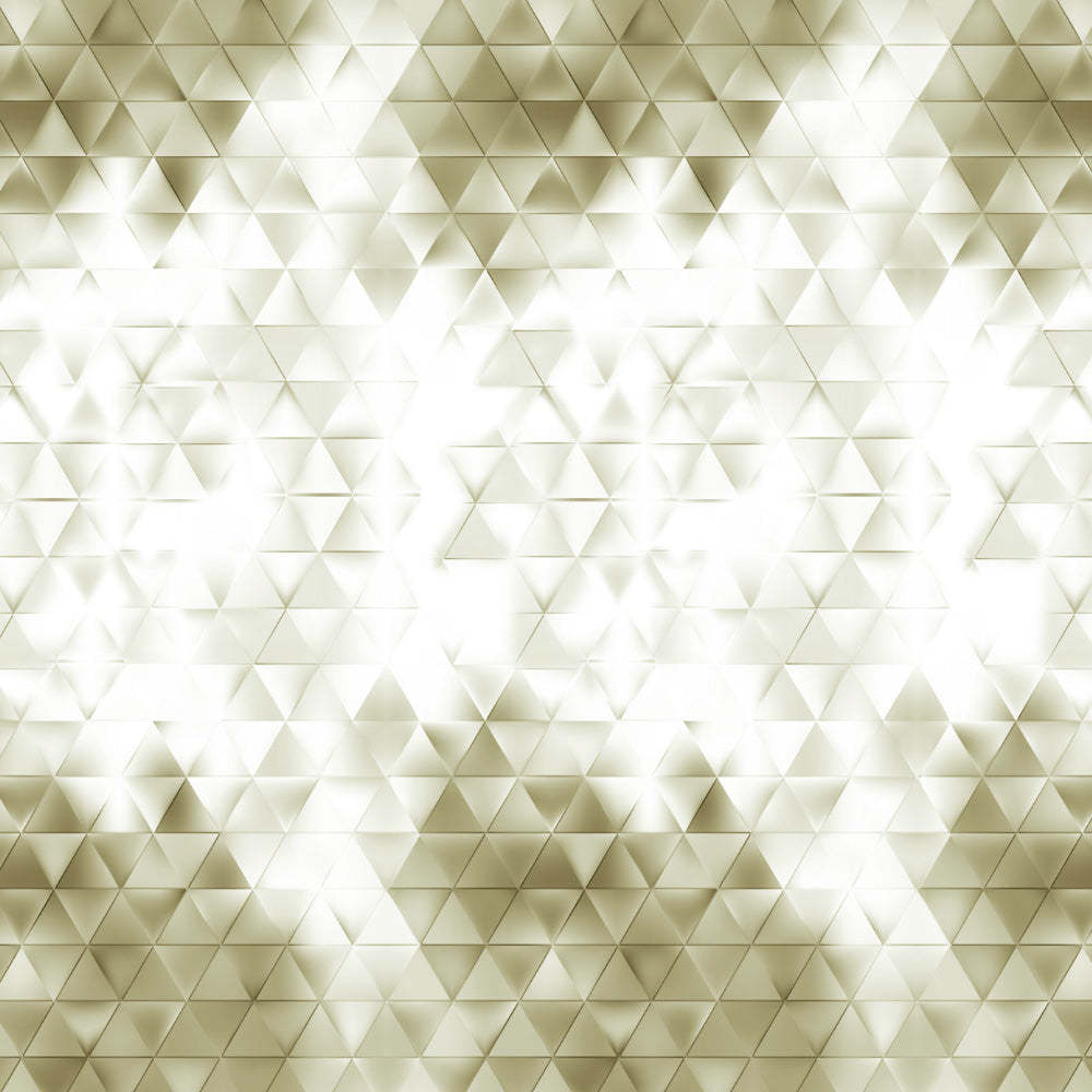 Elegent Geometric Print Matt Finish Room Darkening Curtain Set of 2 MTDS331C