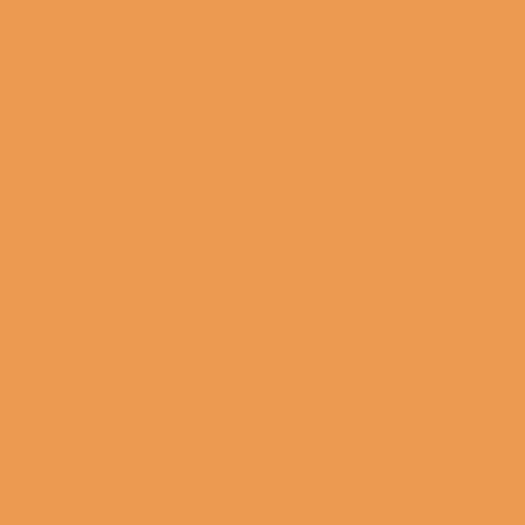 Jacquard Room Darkening Curtains in Cadmium Orange Set Of 2 - (P379)
