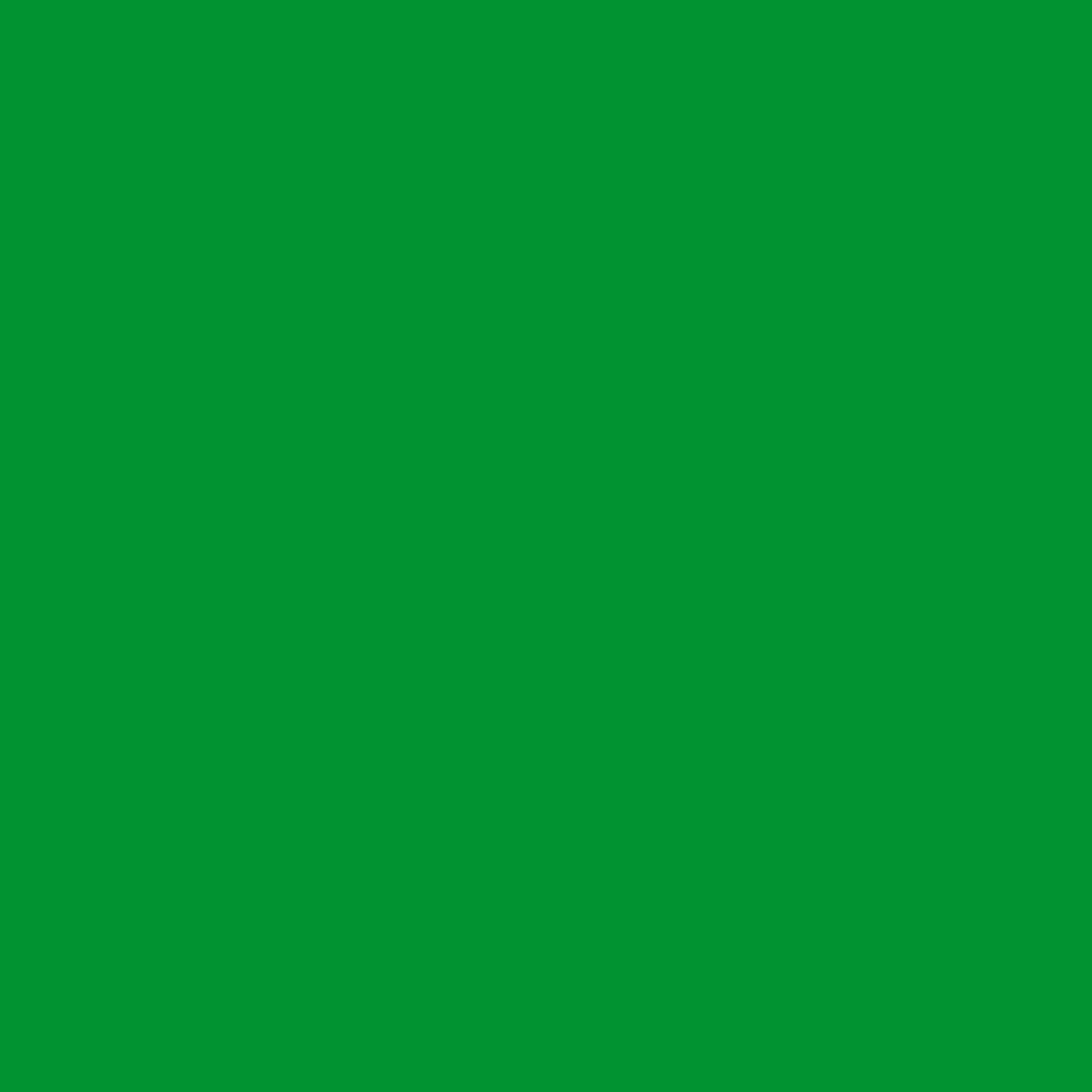 Jacquard Room Darkening Curtains in Kelly Green Set Of 2 - (P389)