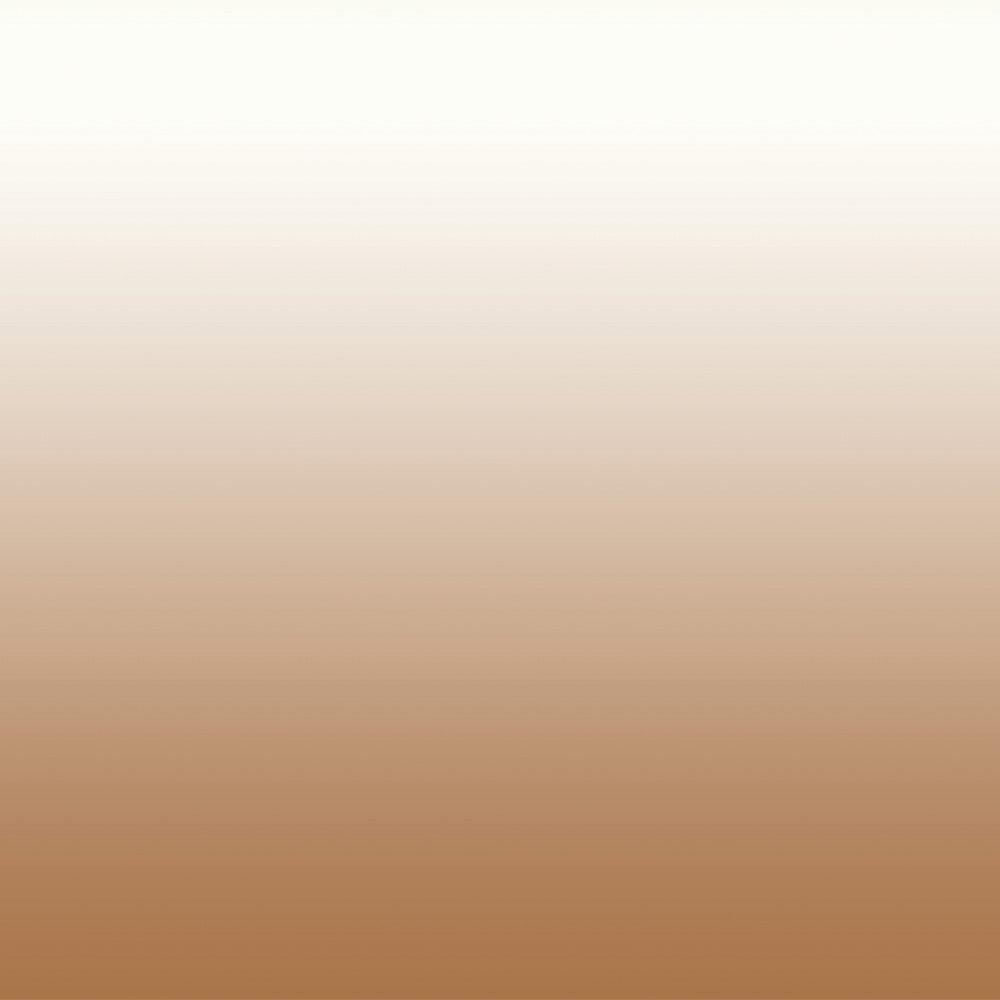 Elegant Ombre Print Room Darkening Curtain Set of 2. OMBRE22