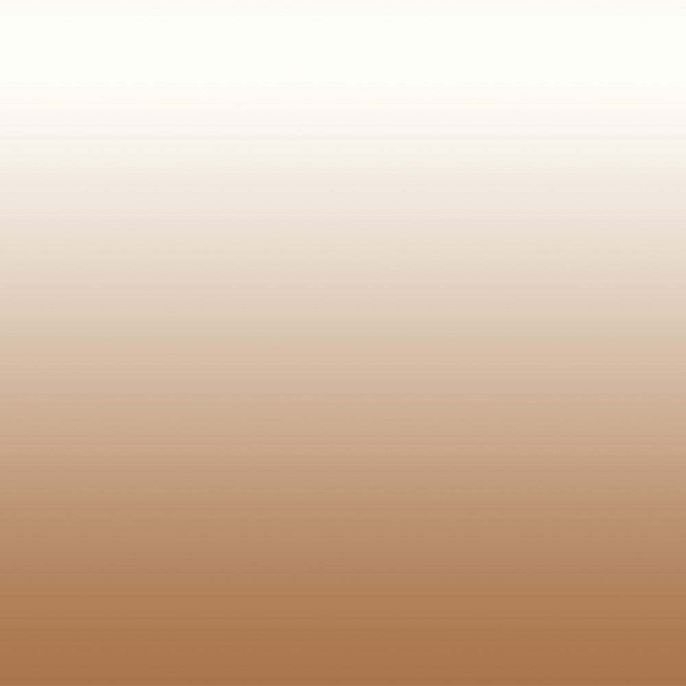 Elegant Ombre Print Room Darkening Curtain Set of 2. OMBRE22
