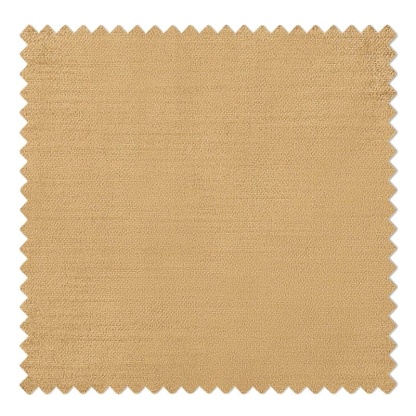 9518-110 Camel TWOPAGES