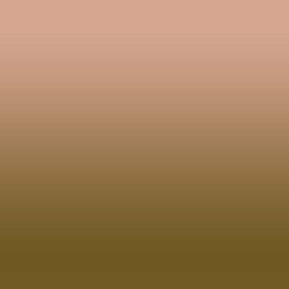 Elegant Ombre Print Room Darkening Curtain - Set of 2 - DSINH4