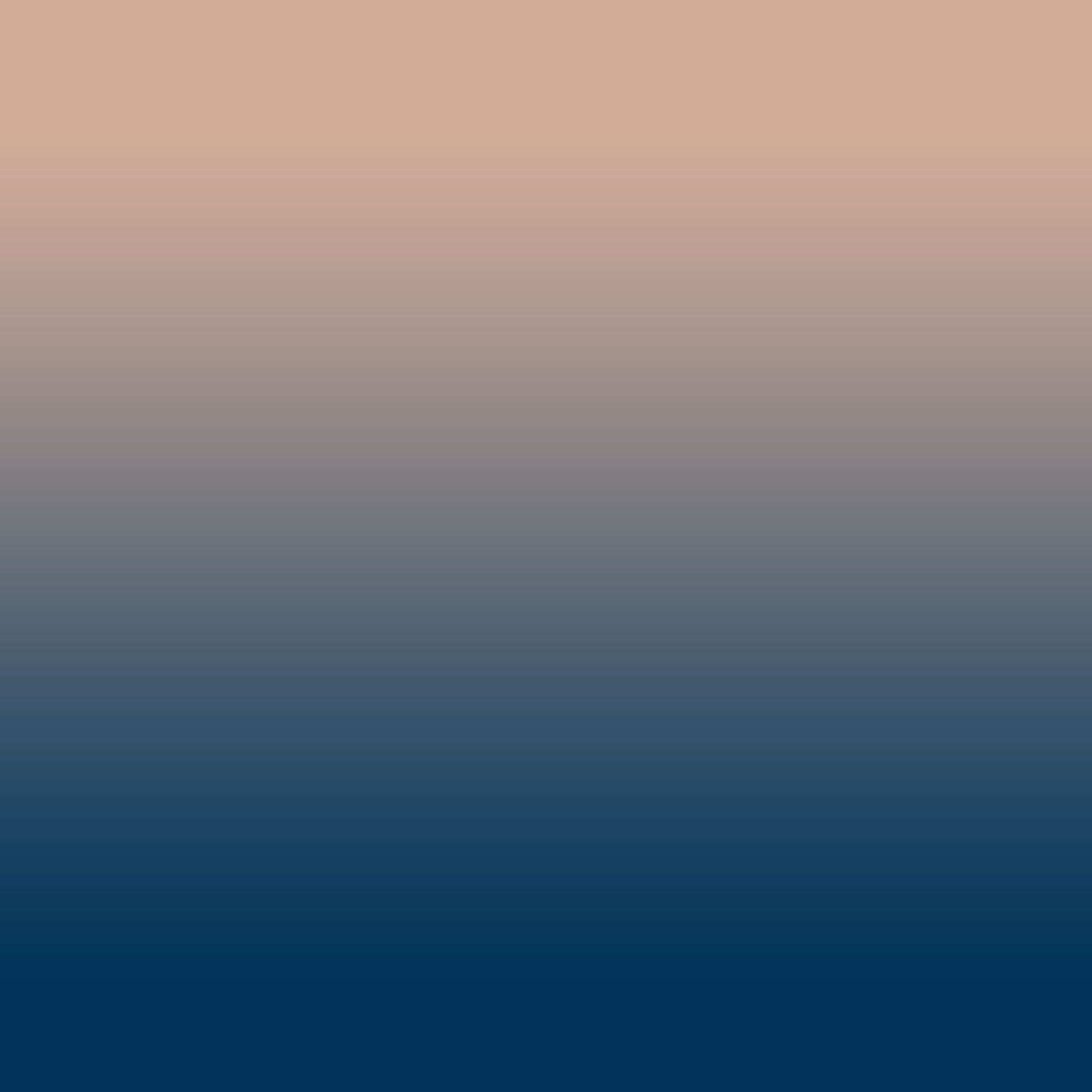 Elegant Ethnic & Ombre Print Combination Room Darkening Curtains - Set Of 4 Door Curtain (452AMR2) - Blue & Cream