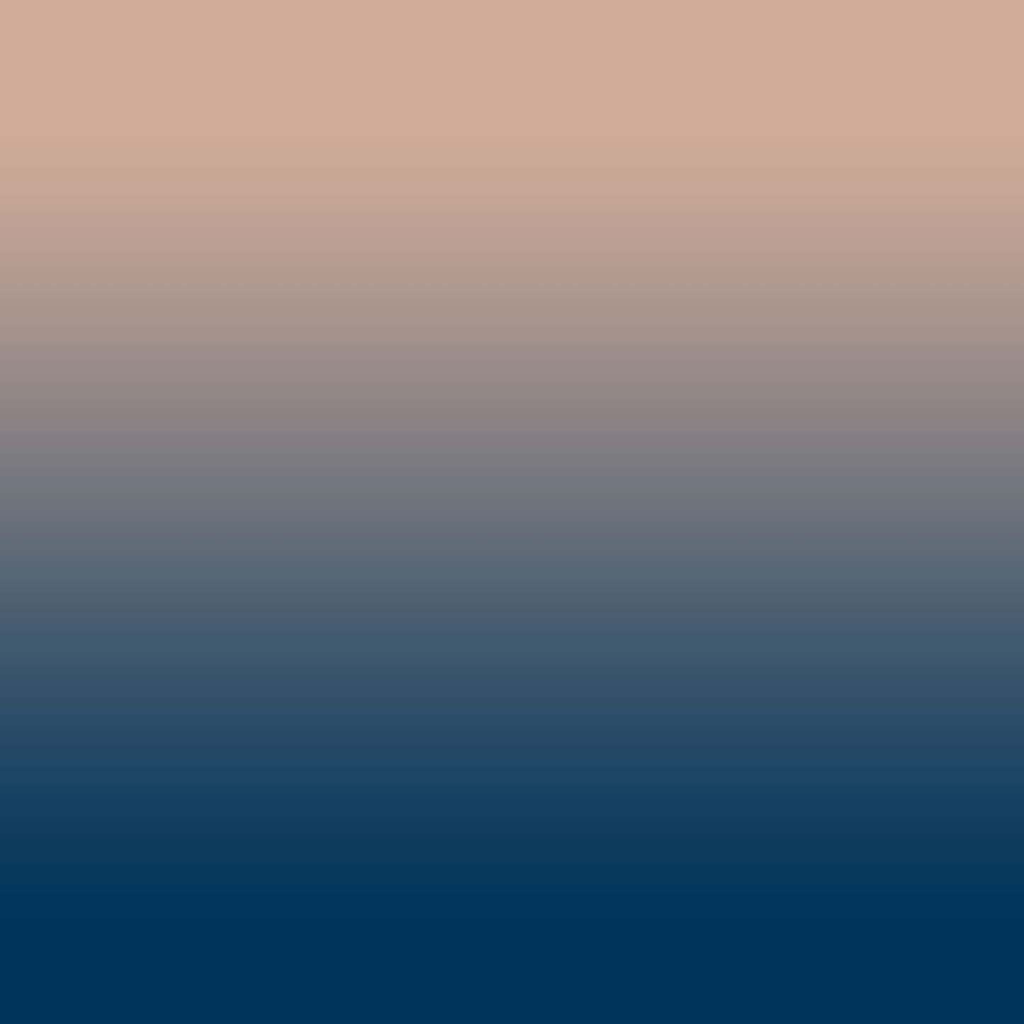 Elegant Ethnic & Ombre Print Combination Room Darkening Curtains - Set Of 4 Door Curtain (452AMR2) - Blue & Cream