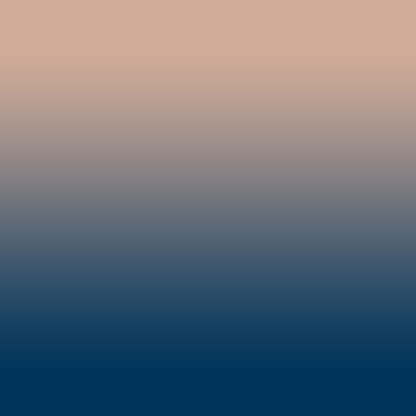 Elegant Ombre Print Room Darkening Curtain - Set of 2 - DSMR2