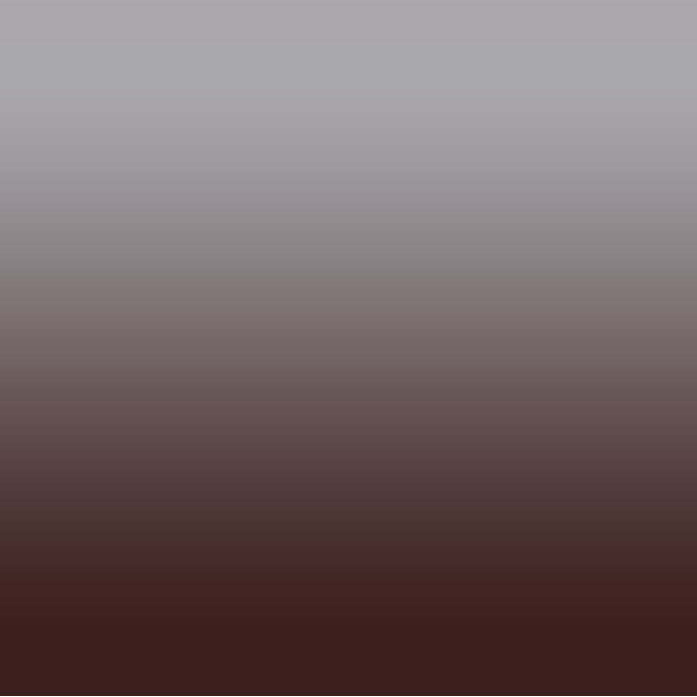 Elegant Ombre Print Room Darkening Curtain - Set of 2 - DSTMI5