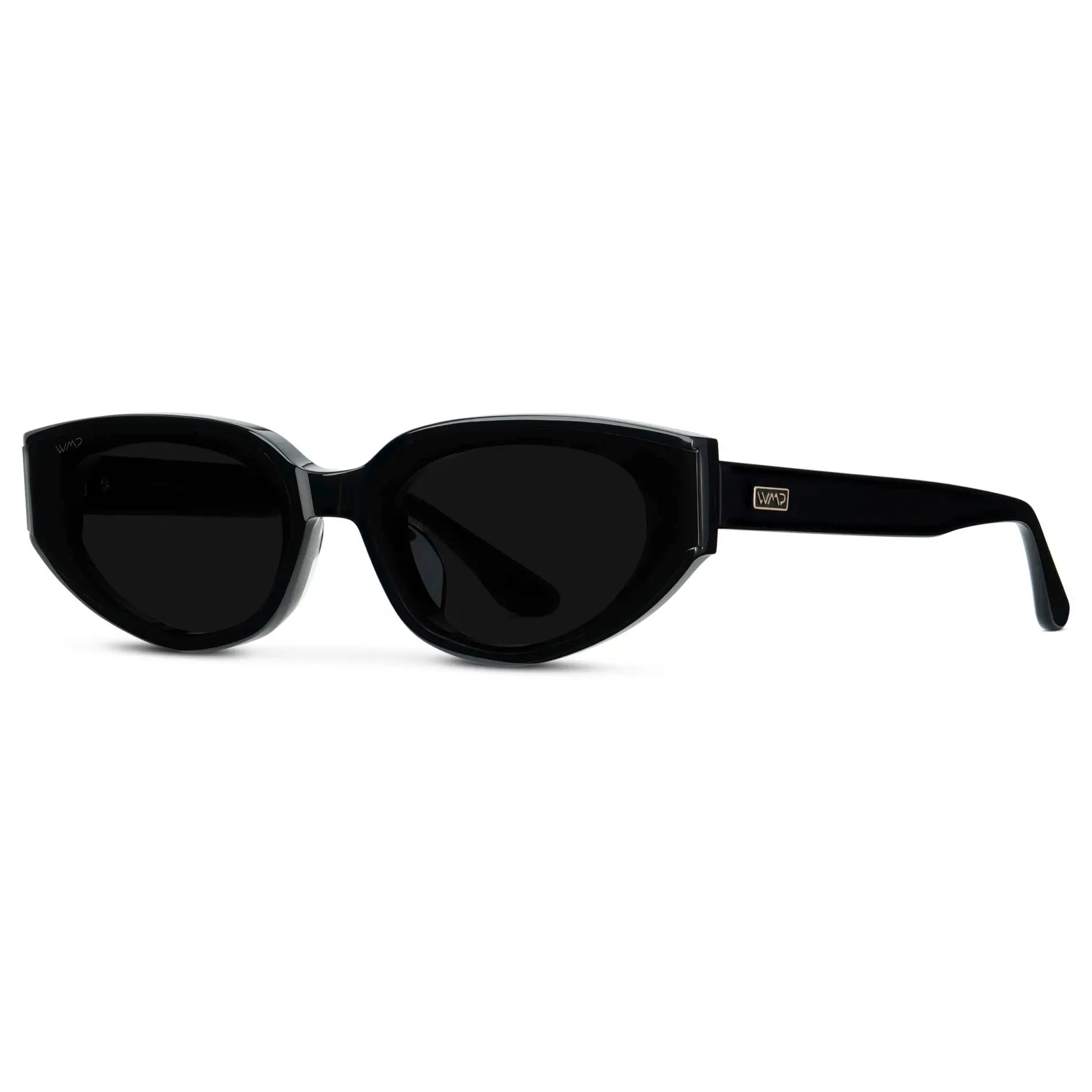 Aurora Astra cat-eye sunglasses in Black with triple black lens