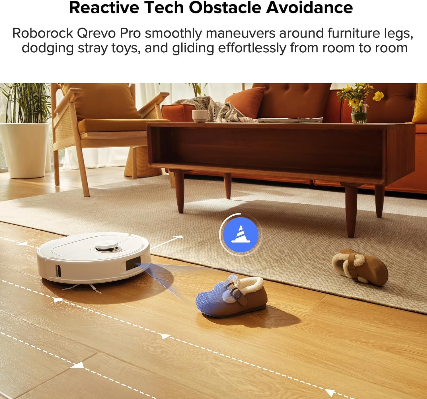 Robot Vacuum and Mop