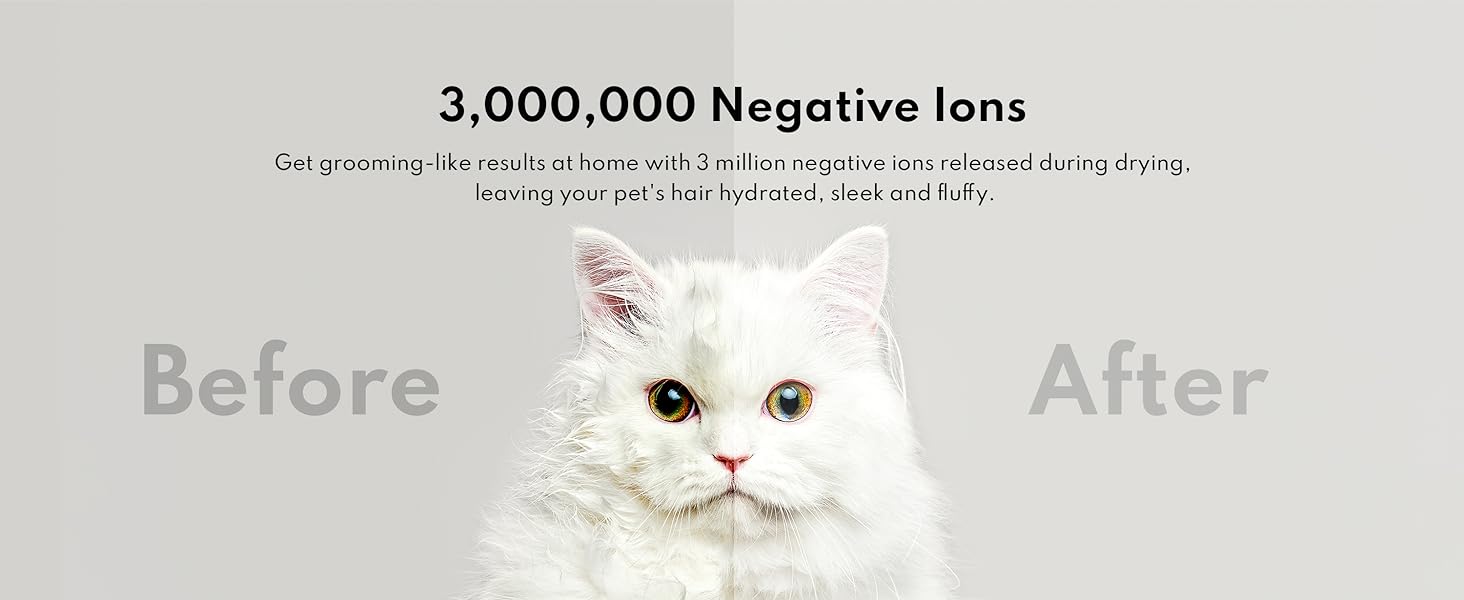 3000000 negative lons