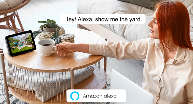 solar outdoor camera works with Alexa