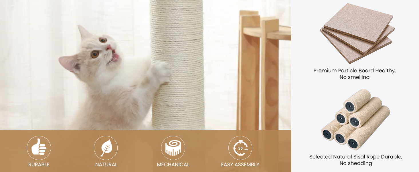 Scratching Post