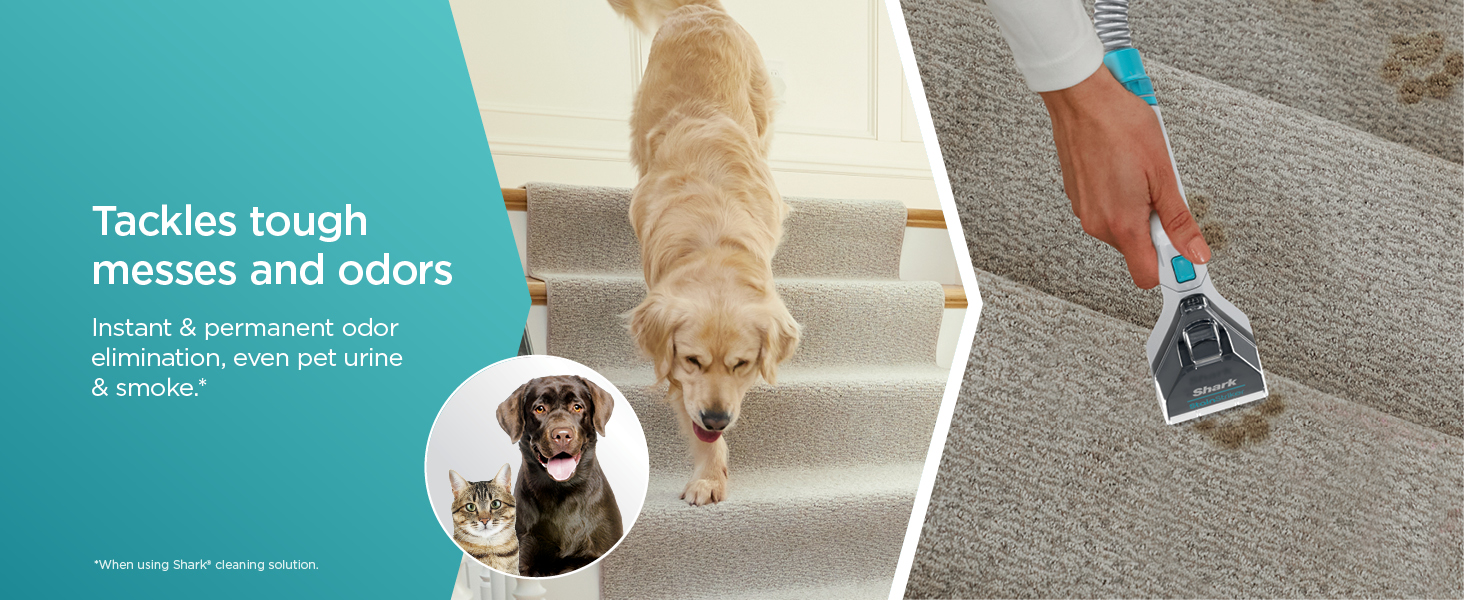Tackles tough messes and odors