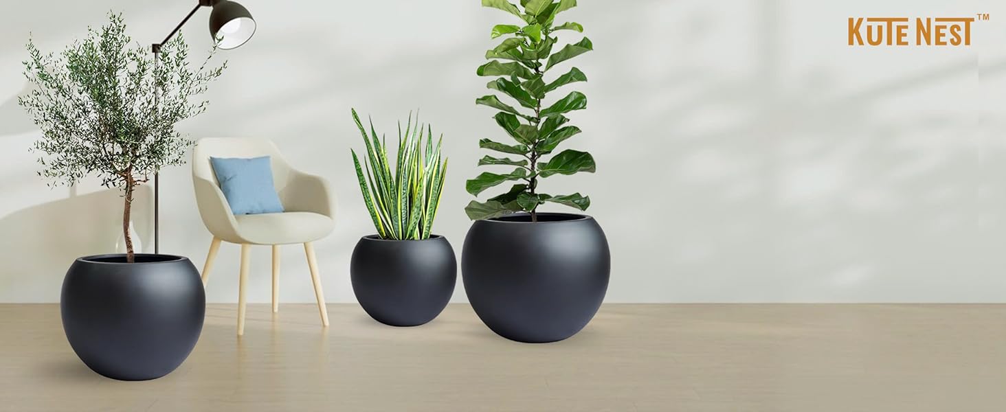 plant pots indoor