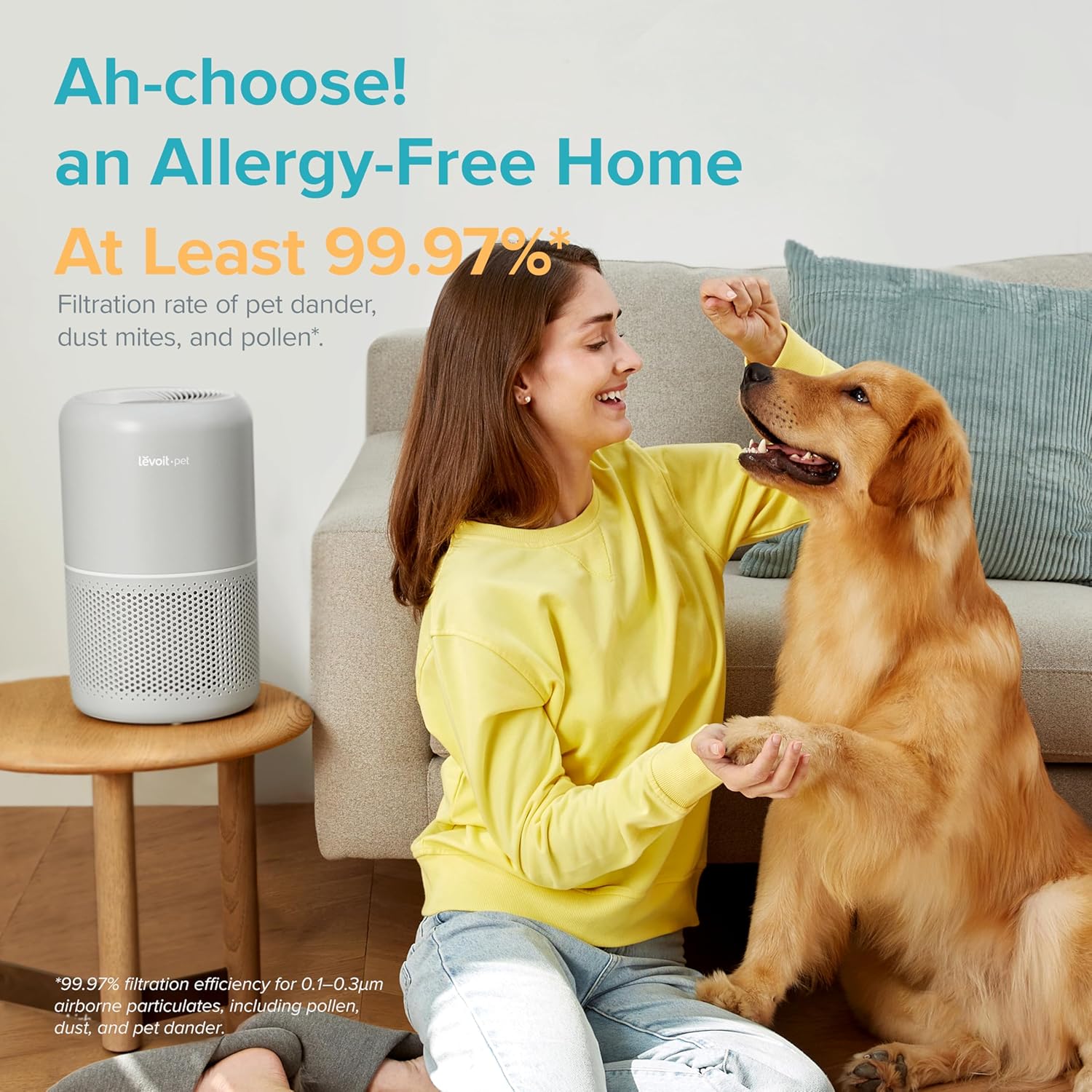 Air Purifiers