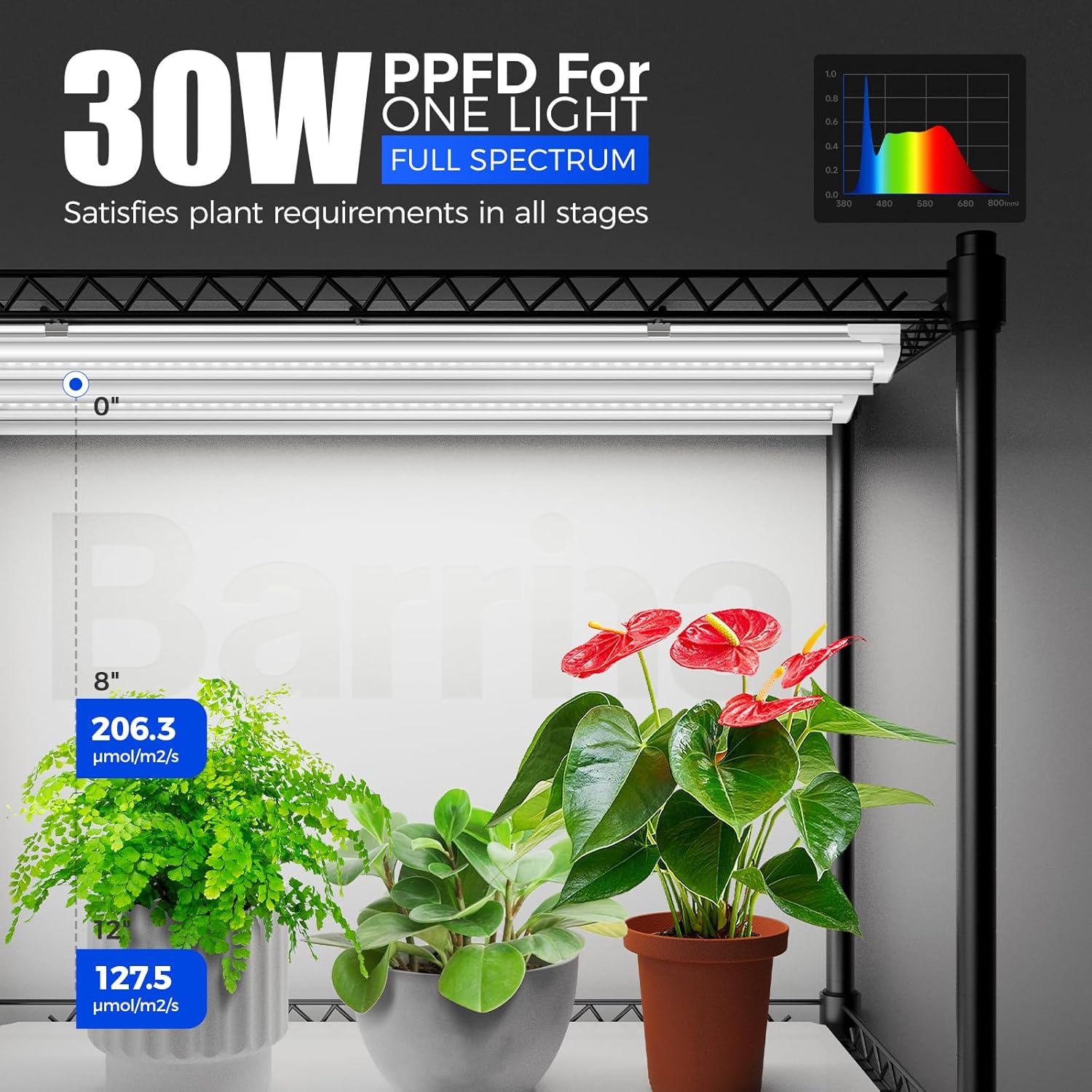 Mini Greenhouse with LED Grow Light for Indoor Plant, 4-Tier Portable Metal Plant Stand with Wheels, Plant Shelf with Tent, 6Pcs Plant Light with Timer and Thermo-Hygrometer, 35.4x13.8x59IN