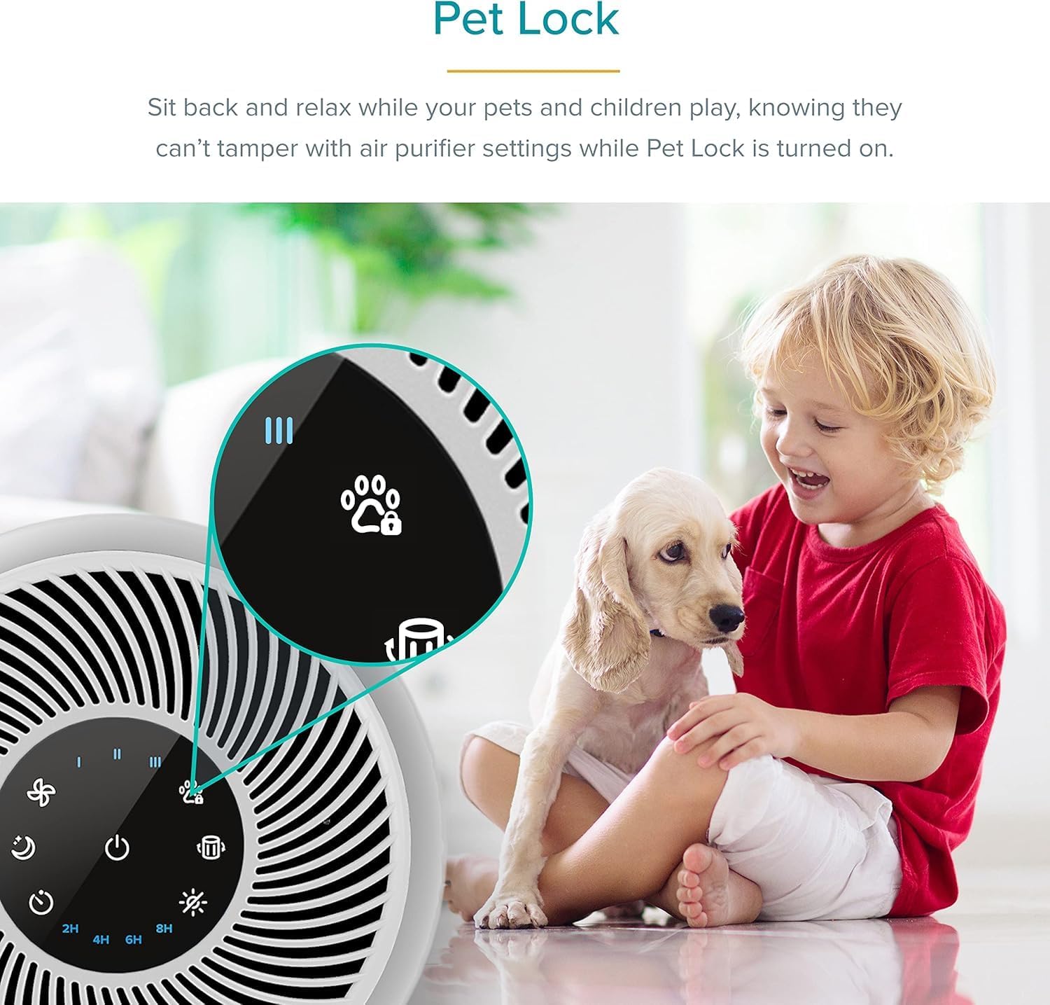 Air Purifiers