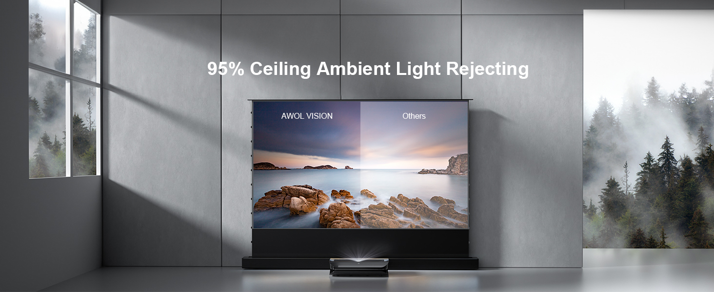 projector screen