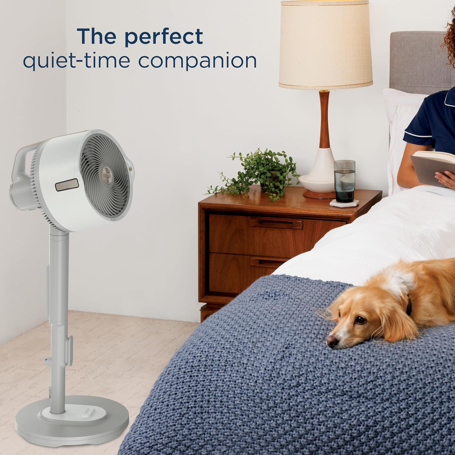FlexBreeze Pro Mist Fan