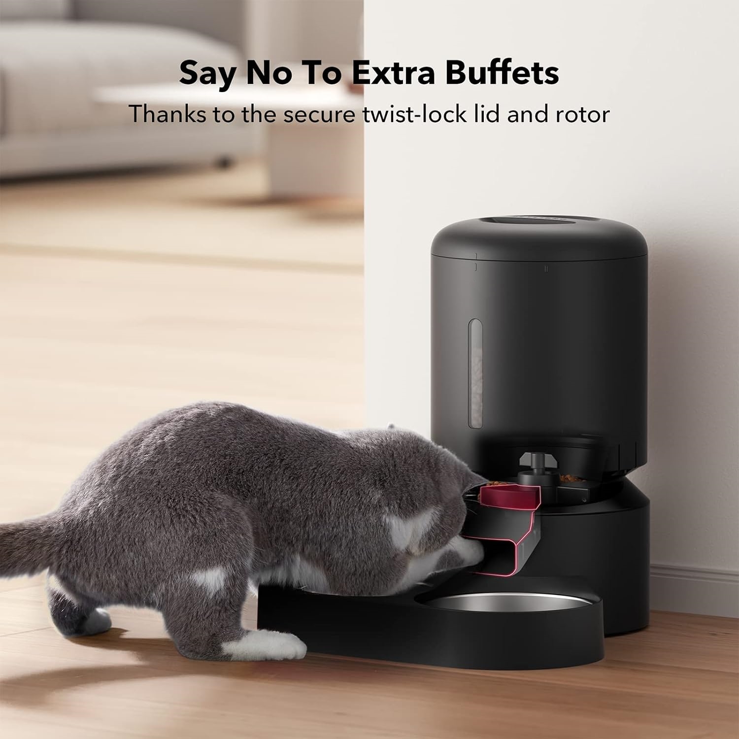 Automatic Cat Feeder with Camera for Two Cats