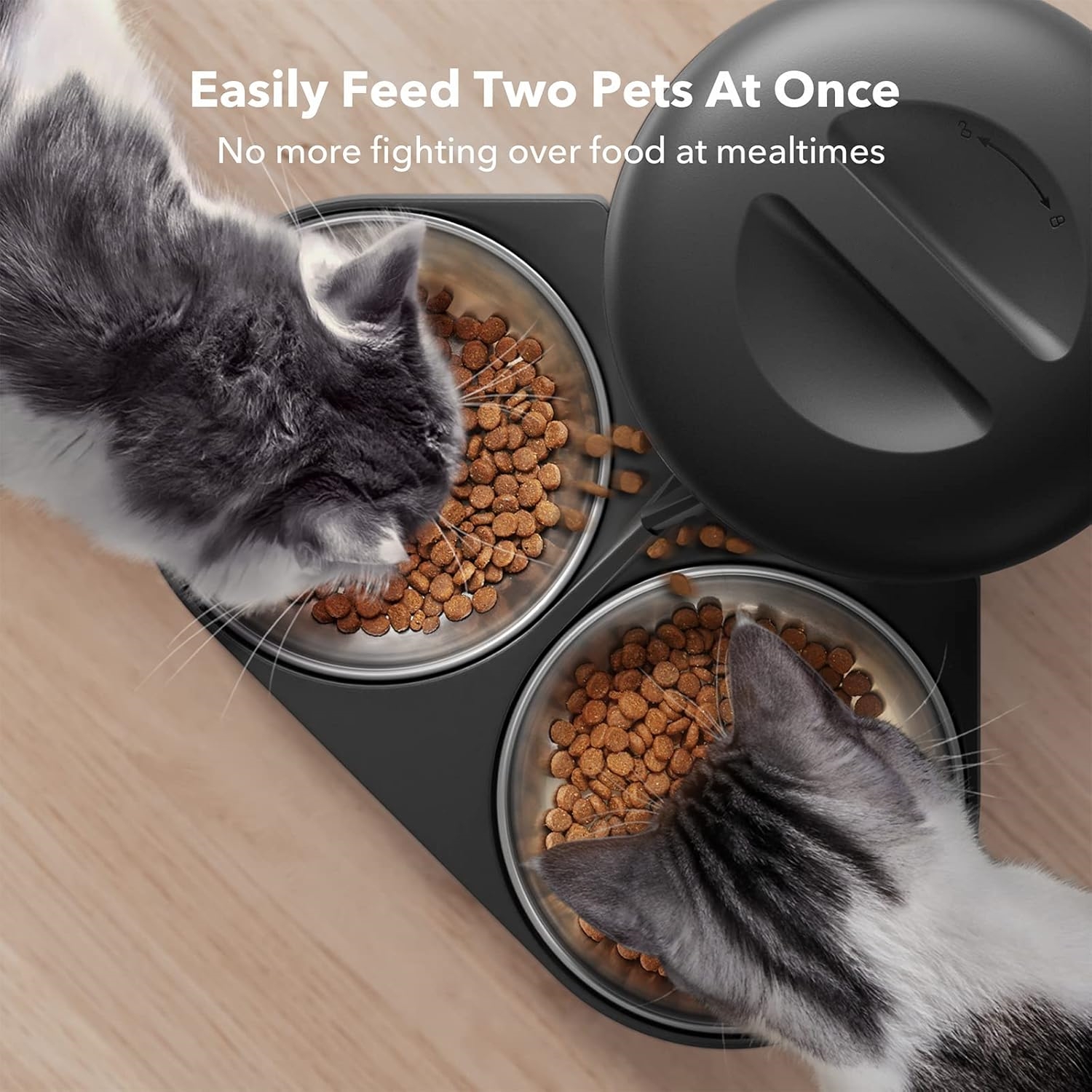 Automatic Cat Feeder with Camera for Two Cats