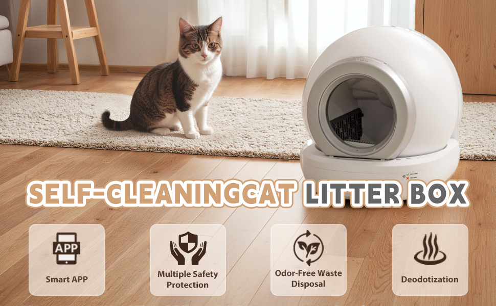 litter box