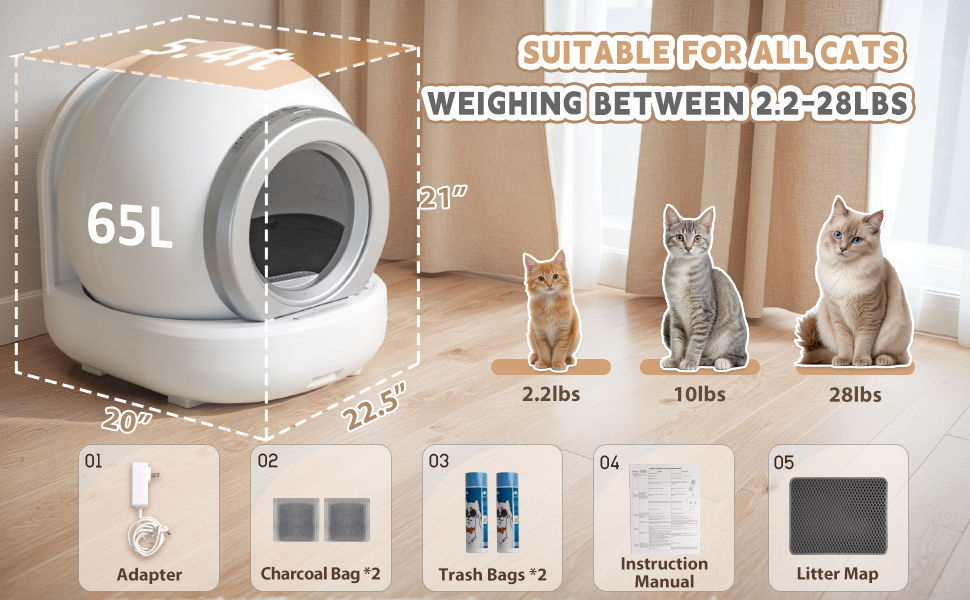 litter box