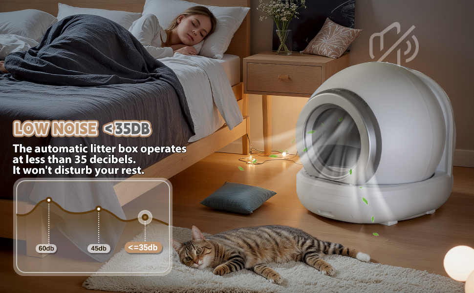 litter box