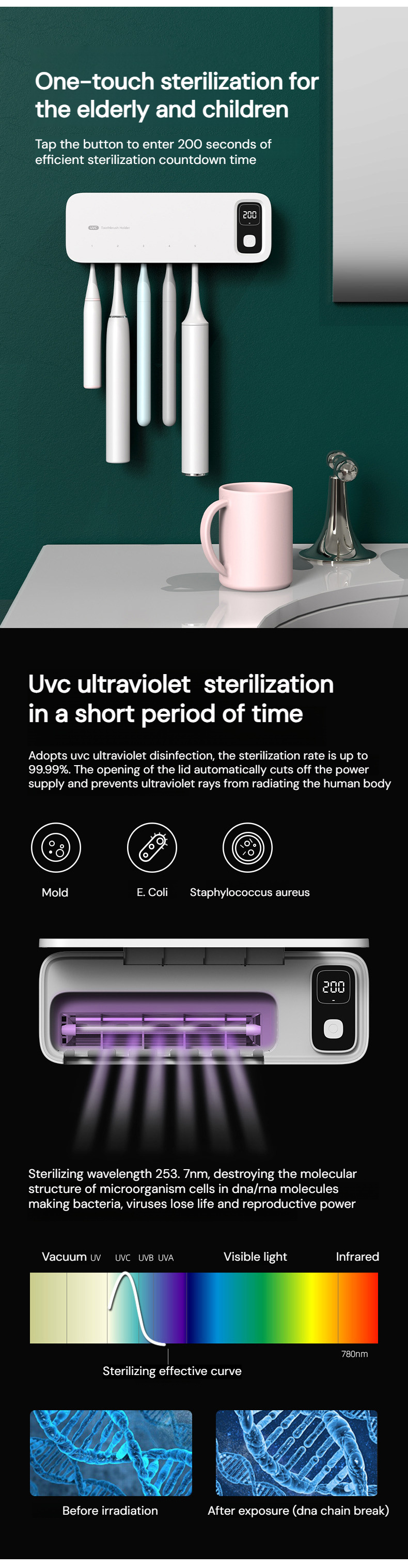 Wall-mounted toothbrush sterilizer for hygienic storage