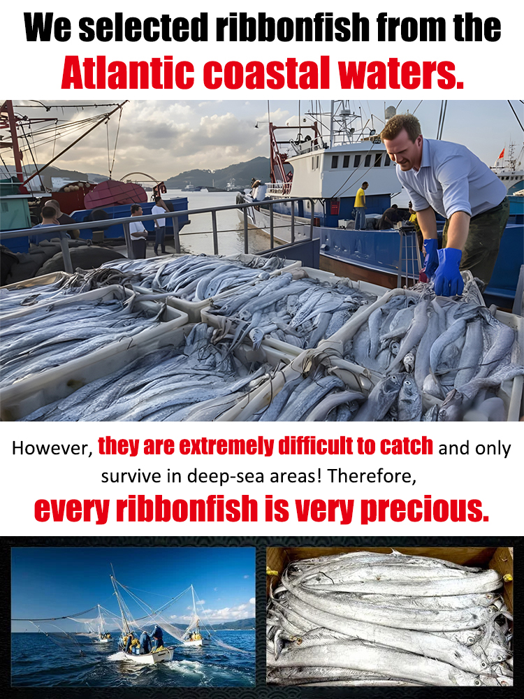 Silver band fish from the North Atlantic🎊 Crispy and flavorful, even the bones are crunchy✨ No preservatives added🎈 Rich in protein and Omega-3🚀 Order now and get buy one, get two free🚀