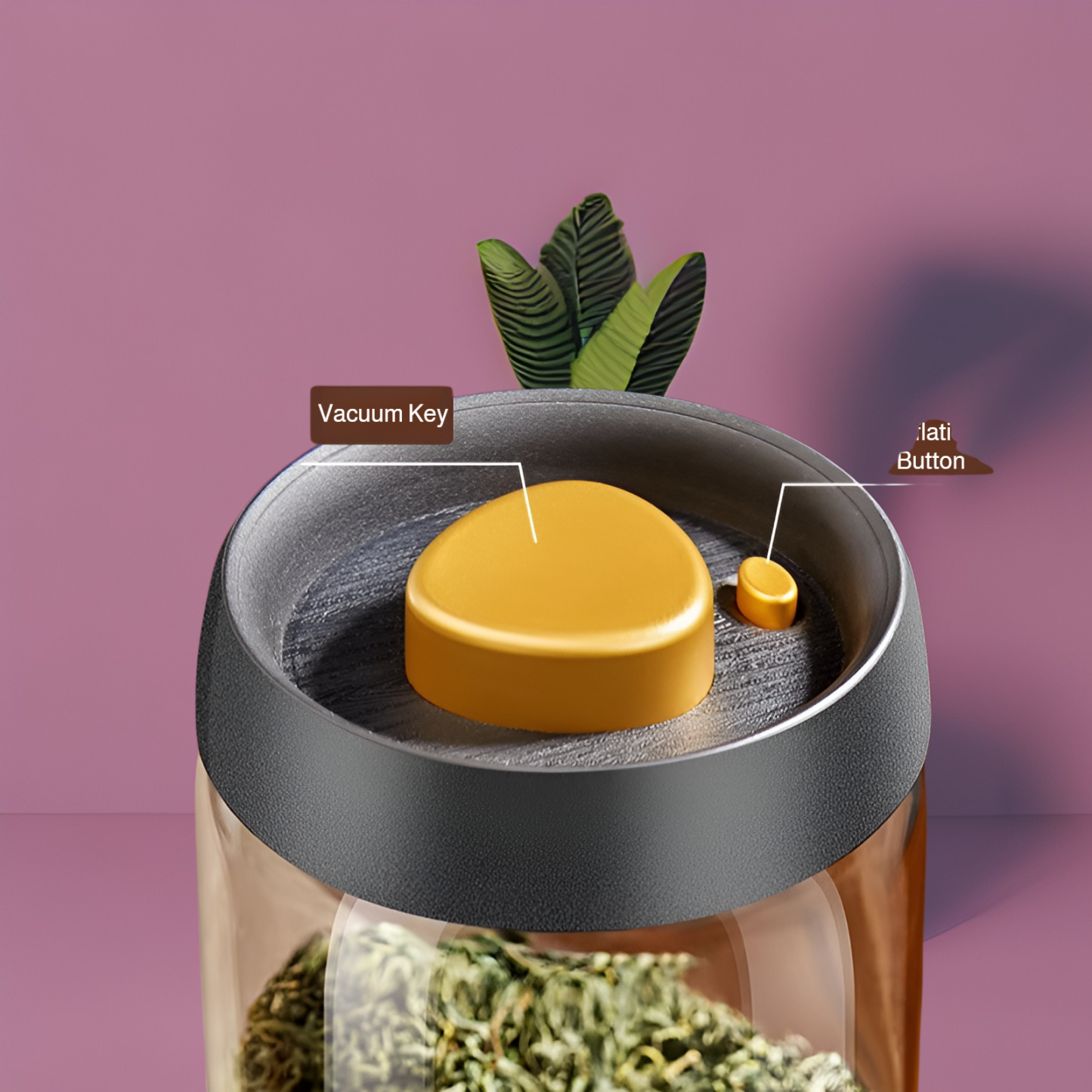 Vacuum sealed jar, tea jar, food grade glass sealed jar