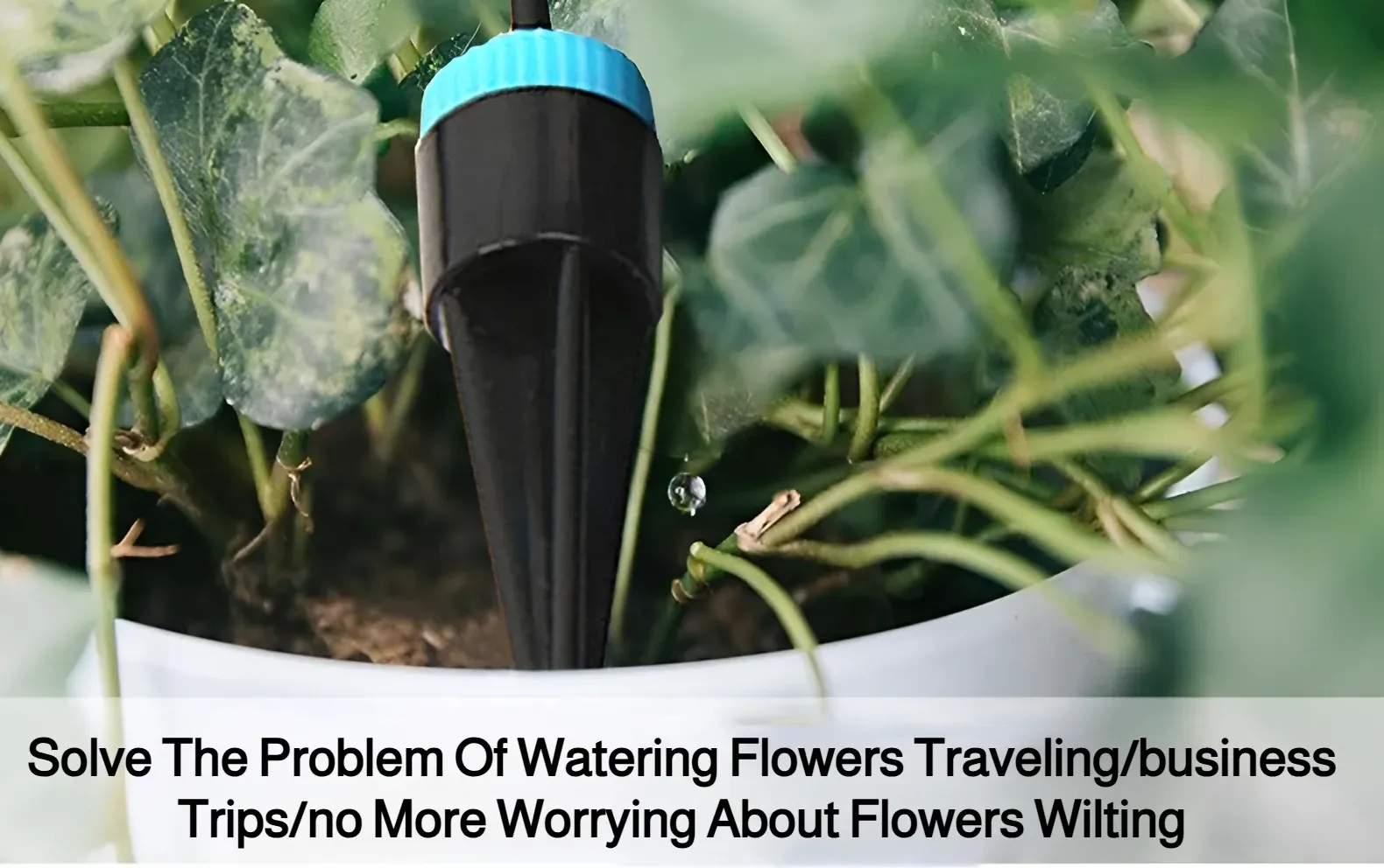 Lazy watering tool with adjustable drip heads