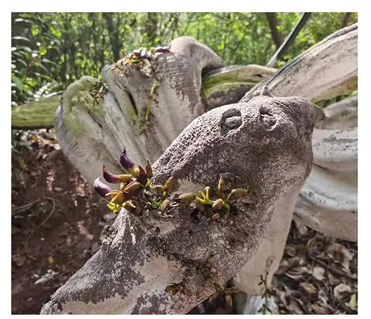 Easy-to-use applicator for fruit tree wound healing