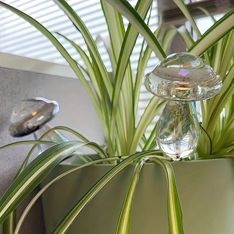 Glass Plant Round Watering Ball Waterer Smooth Round Household Glass Round